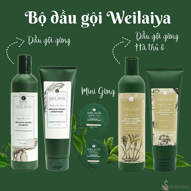 Những thành phần quan trọng và công dụng trong dầu gội Weilaiya