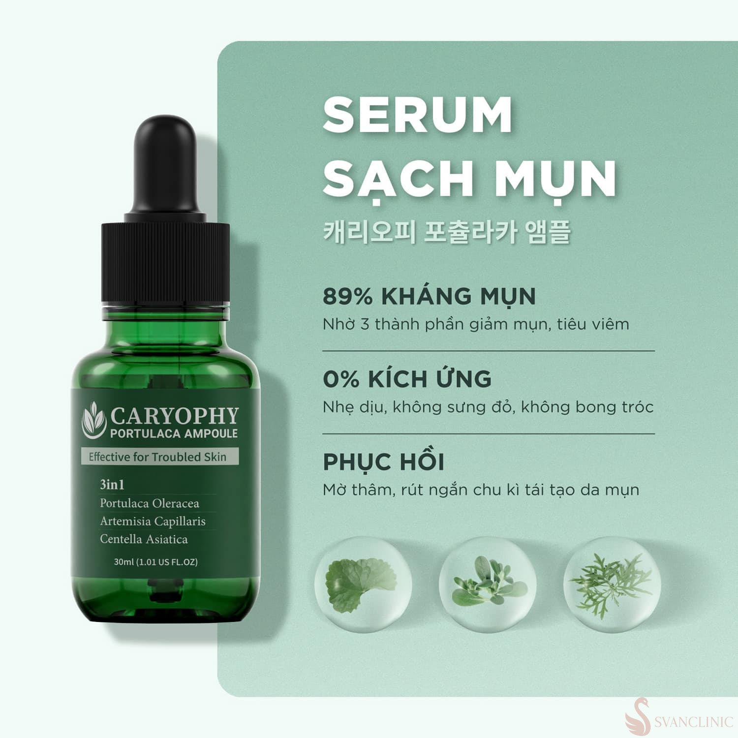 Những thành phần quan trọng trong các sản phẩm Caryophy